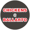 Chickens @ Ballarto