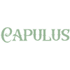 Capulus